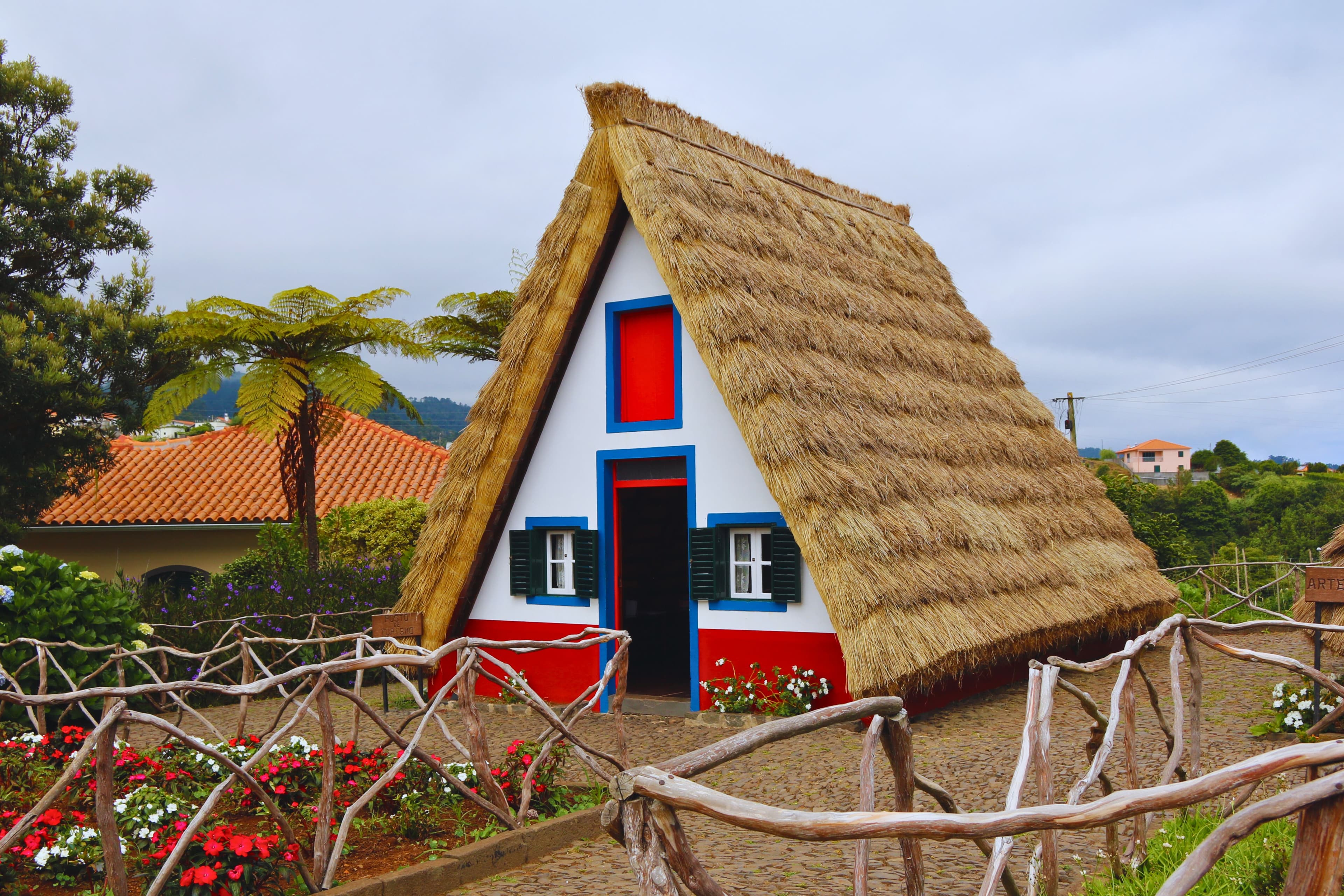 Traditional thatched Santana house with a red door and blue trim in a flowering garden.