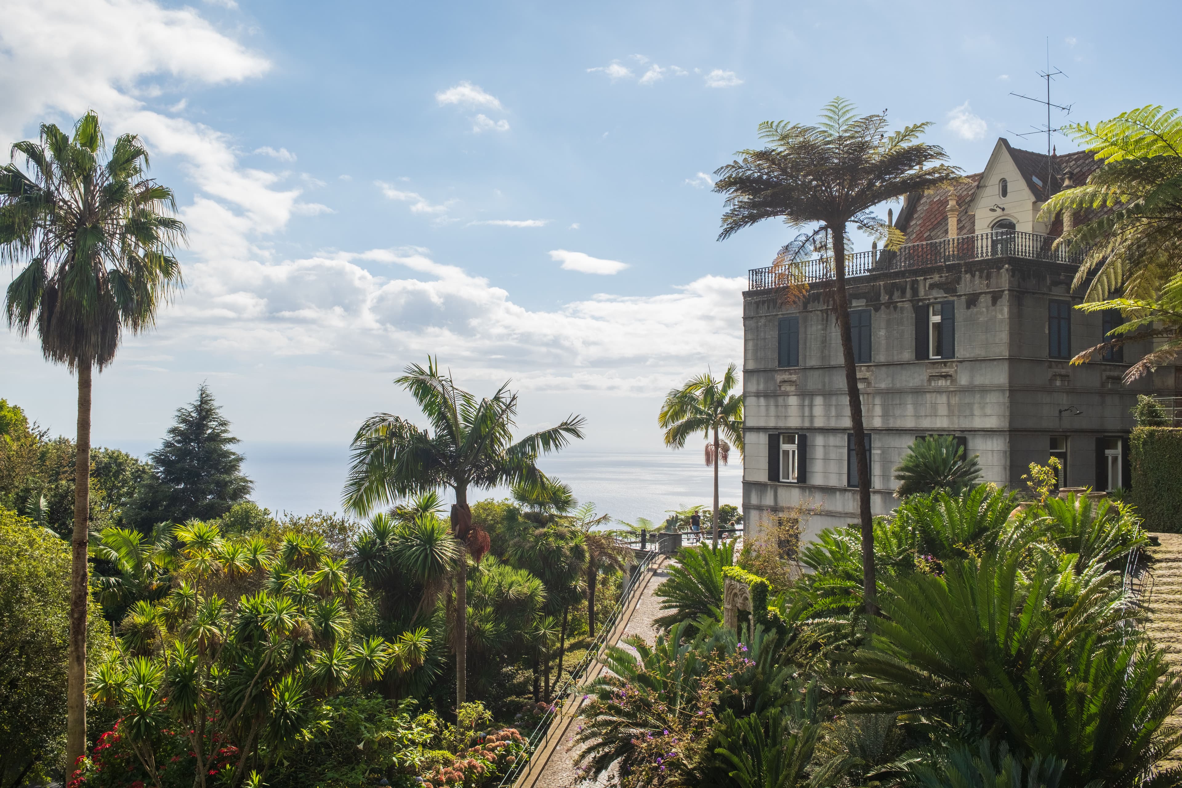 A historic quinta-style villa surrounded by palms and tropical gardens with an ocean view.
